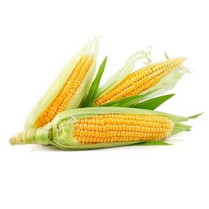 Corn Bicolor 48/ct