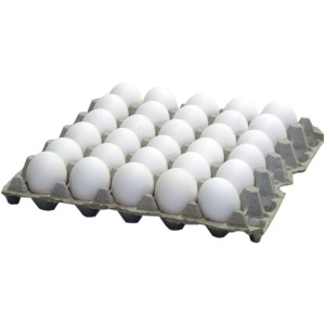 X-large Loose Eggs James Farm - 15dozen