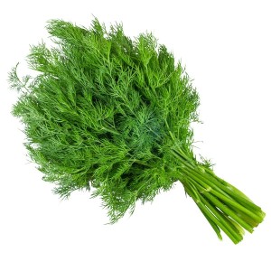 Dill Fresh - 1lbs