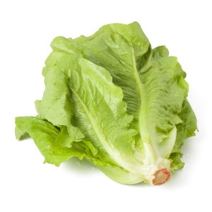 Lettuce Romaine - 24ct Cali