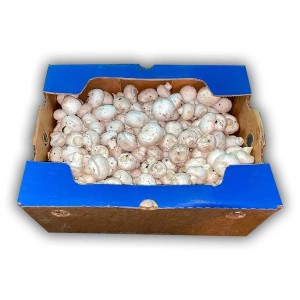 Mushrooms Small (button) - 10lbs