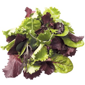 Spring Mix - 6/2lbs