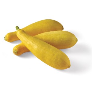 Squash Yellow - 20lbs