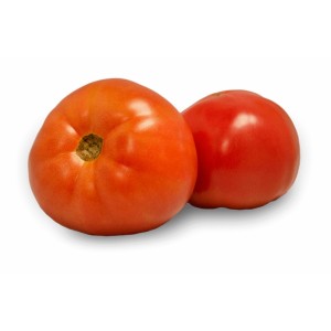 Tomato Round - 5x5 Xl