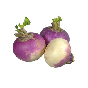 Turnips Poly - 25lbs