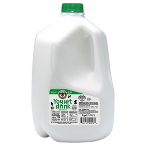 Karoun Yogurt Drink 4/1 Gal - Mint