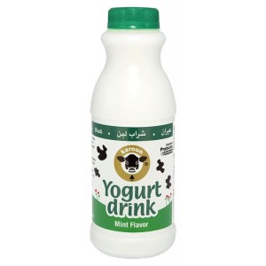 Yogurt Drink Karoun Mint 24/1pt